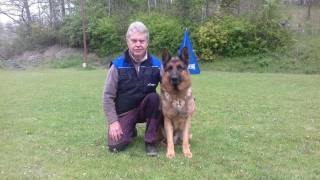 sirr-damyl-junior-05_original