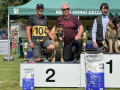 polly-damyl-junior-04_original