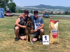 xsara-damyl-junior-06_original