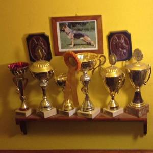 nase-stanice3_original